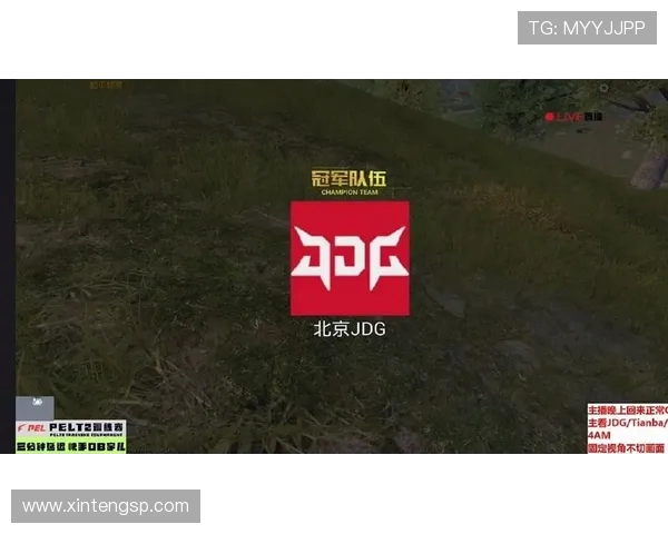 热议和平精英JDG战队状态转变引发电竞圈广泛关注与讨论