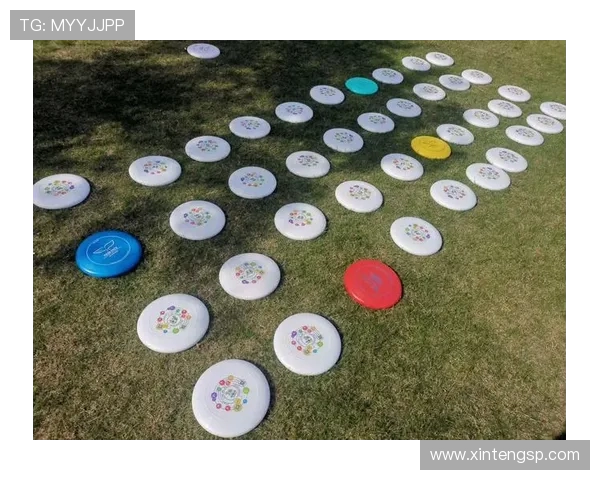 赵娜独家分享飞盘技巧与心得体会助你提升飞盘水平的秘诀与经验